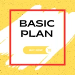 Basic Plan